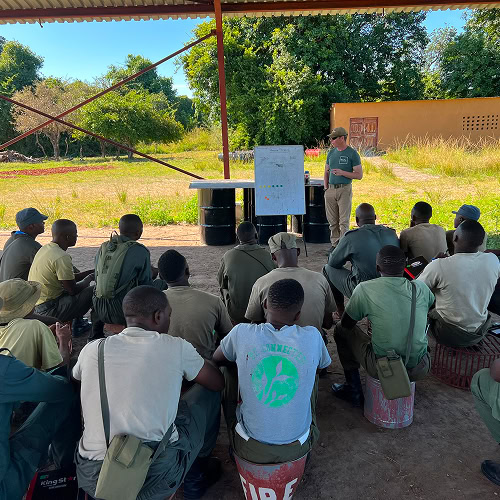 Frontier: Conservation and NGO projects and team training