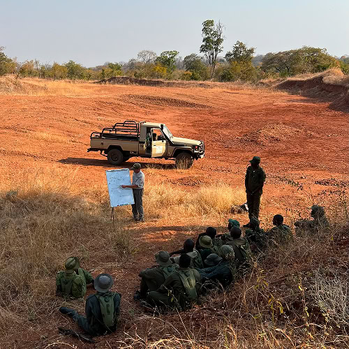 Frontier: Conservation and NGO projects and team training